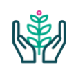 icon with hands holding a plant